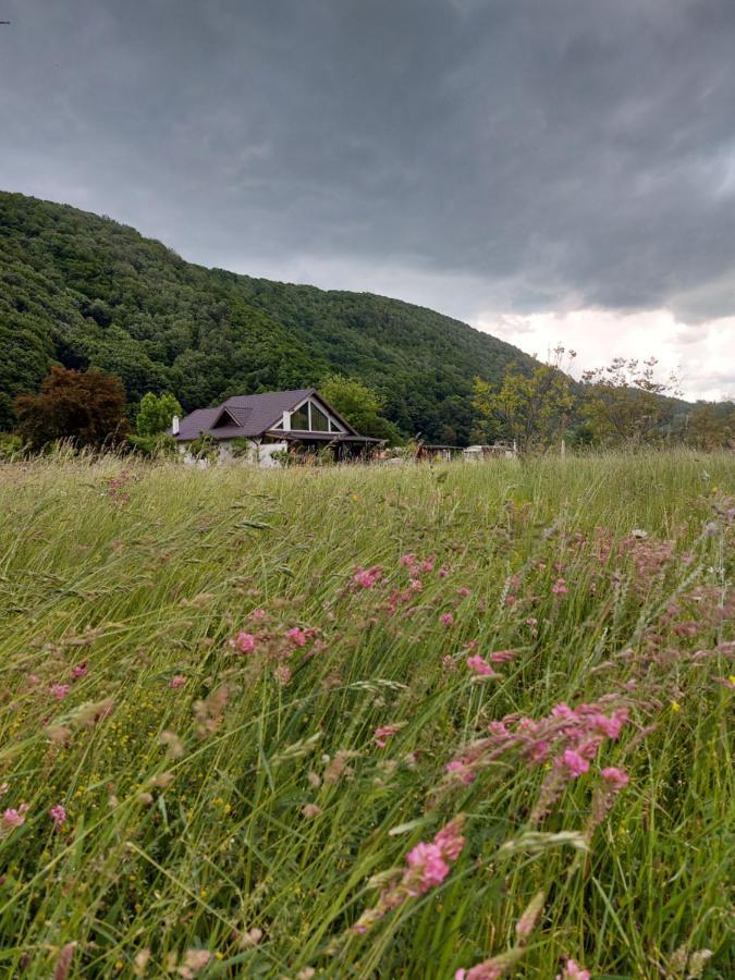 Ciucea185 -Casa Din Livada Villa Kültér fotó